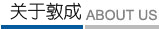 公司简介