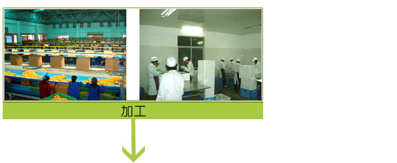 企业文化图片3