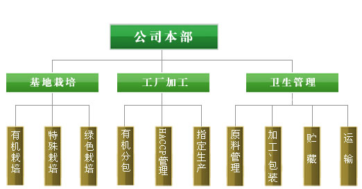 联系方式详情